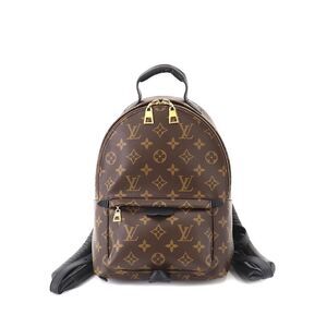 Louis Vuitton Monogram Palm Springs Backpack PM Backpack Brown